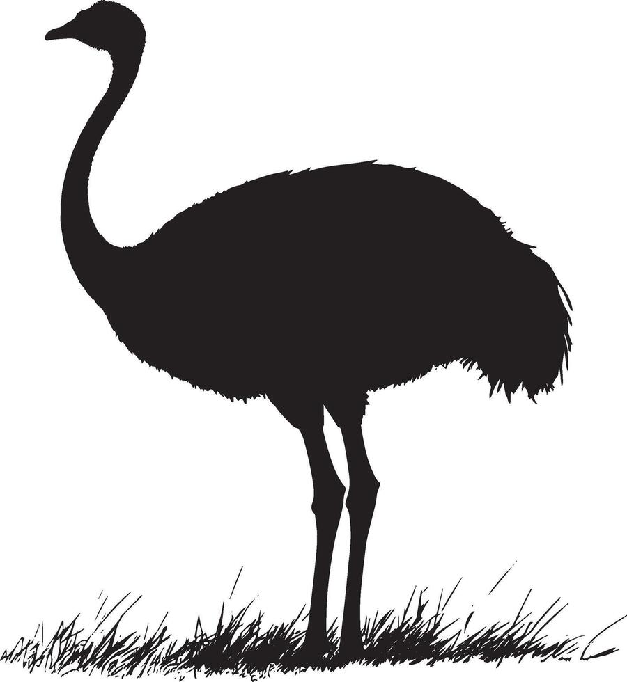 Ostrich at rest body low to the ground with legs folded and neck slightly curved in a full-length silhouette. vector