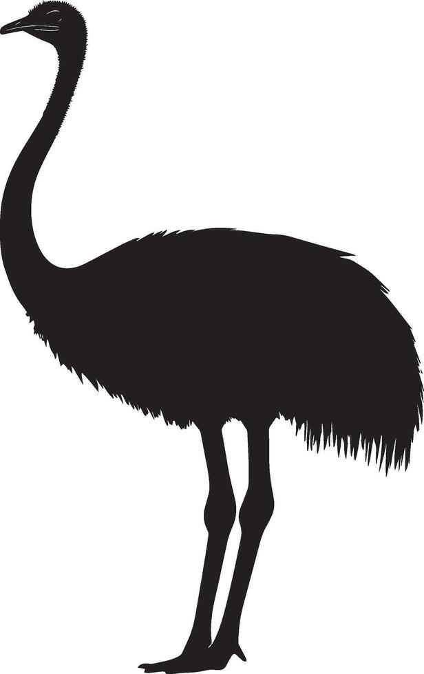 Ostrich Alert Neck fully extended head high wings close to body. full length silhouette black illustration vector