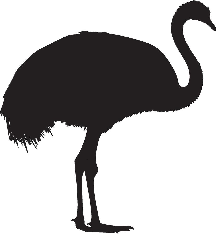 Ostrich Pecking Head lowered beak touching the ground legs slightly bent. full length silhouette black illustration vector