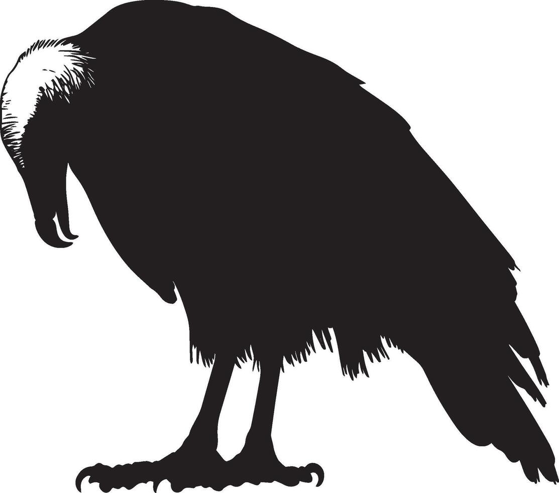 Vulture eating body bent forward, beak engaged with its meal, and wings slightly elevated in a black outline. vector