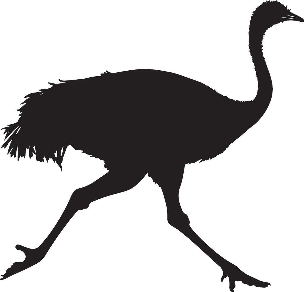 Ostrich Running Legs stretched mid-stride wings slightly open body leaning forward. full length silhouette black illustration vector
