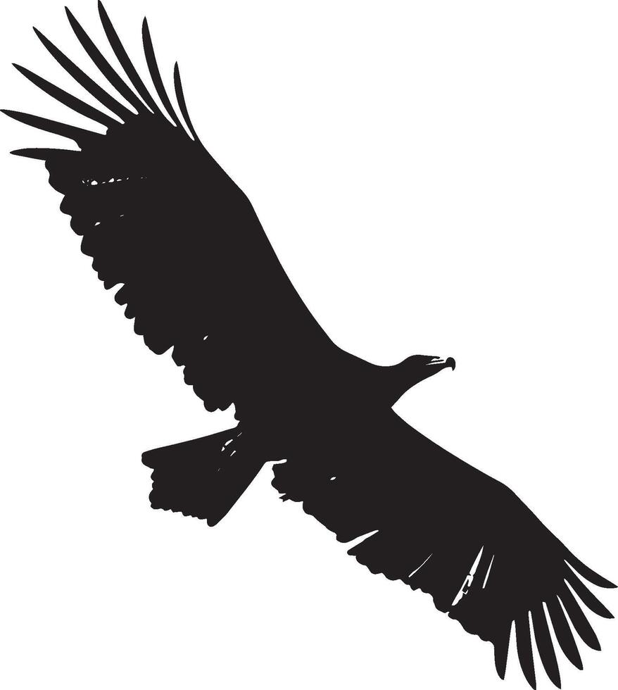 Vulture Gliding Wings stretched wide body steady floating on air currents. full length silhouette black illustration vector