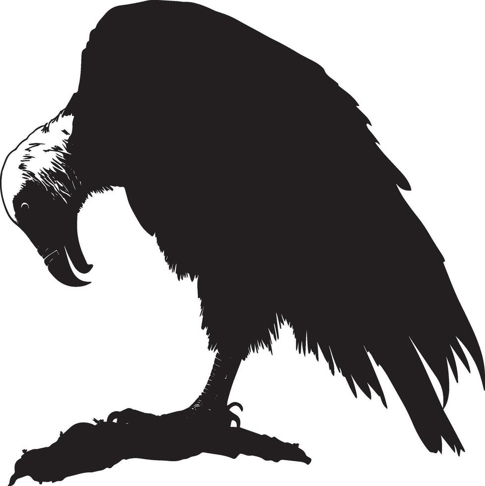 Vulture in action head down, tearing into food with wings slightly lifted for balance in a complete silhouette illustration. vector