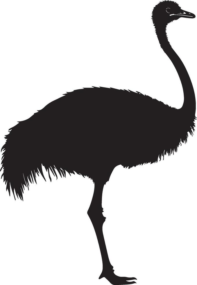 Ostrich Resting Body low to the ground legs folded neck slightly curved. full length silhouette black illustration vector