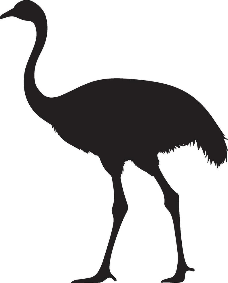 Ostrich in motion walking with one leg raised, head tilted ahead, and wings secured against its sides in a black outline. vector