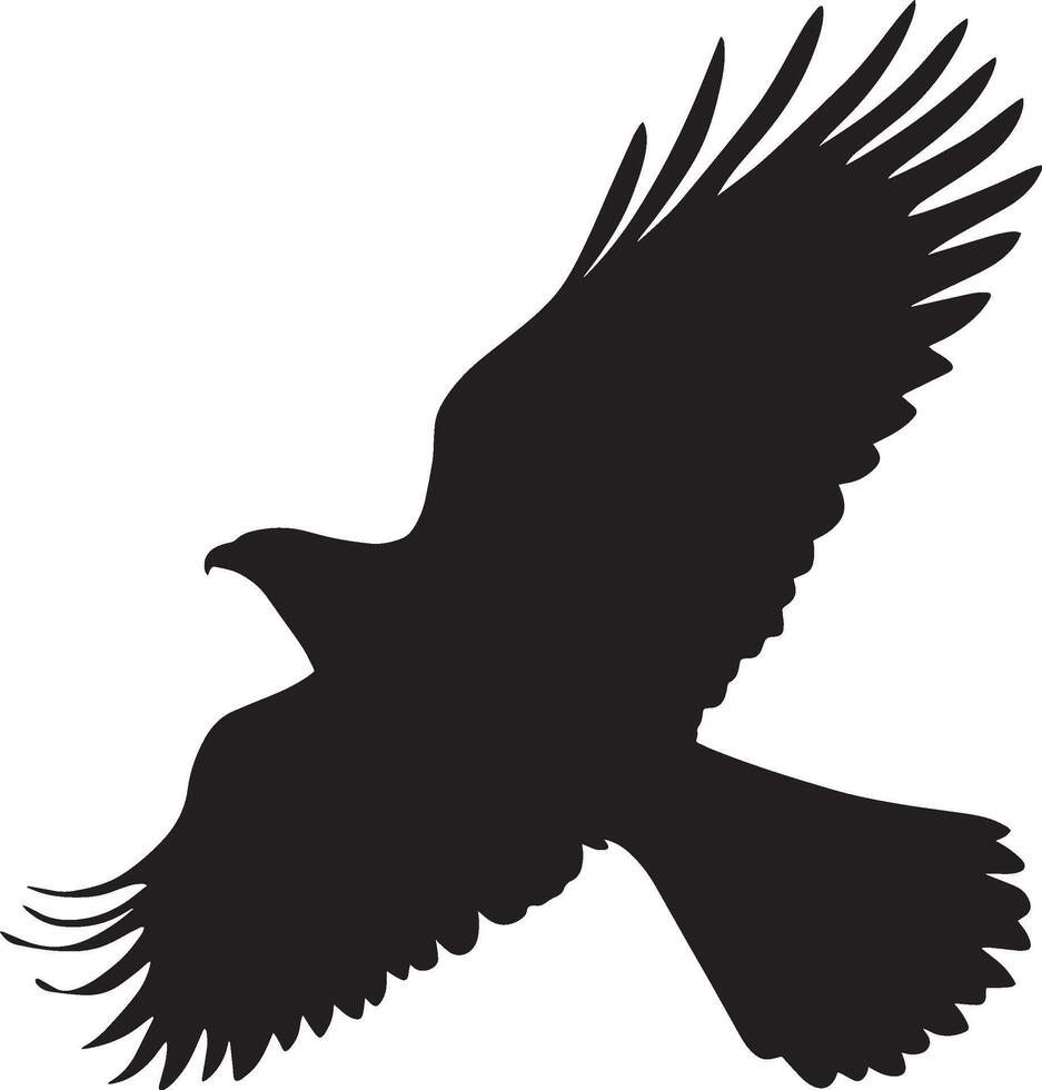 Hawk Soaring Gliding high in the air with wings held wide and body steady. full length silhouette black illustration vector