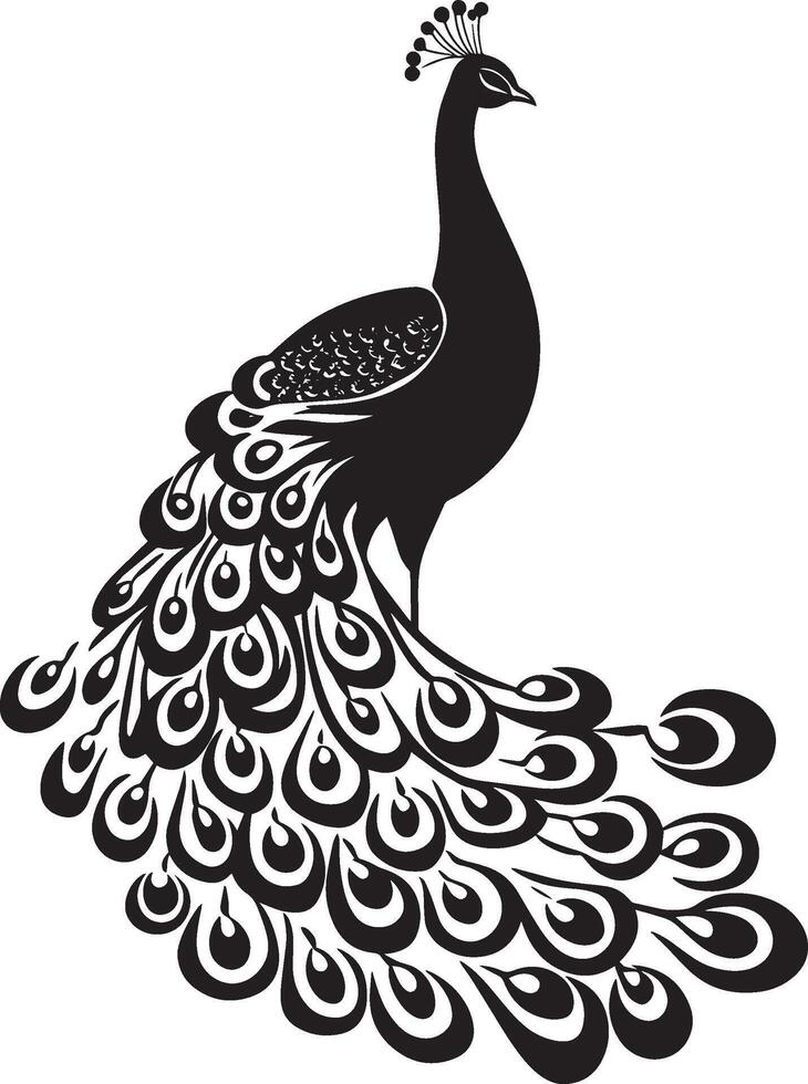 Peacock Standing Body upright head held high tail feathers resting behind. full length silhouette black illustration vector
