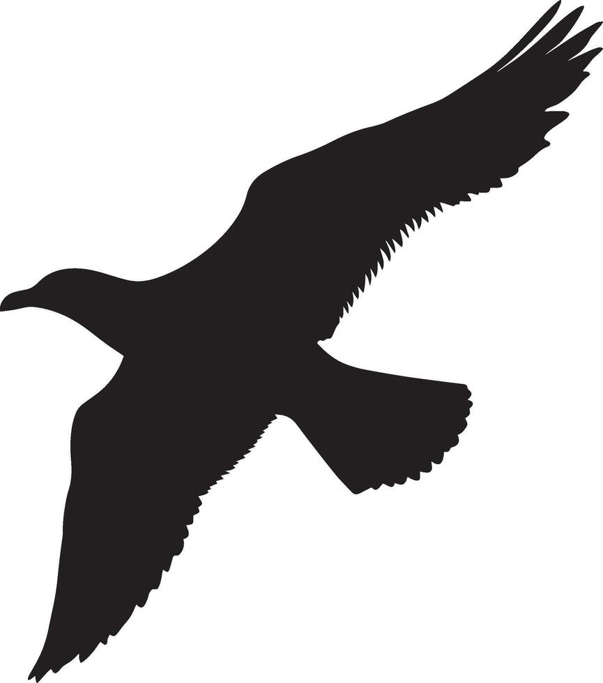 Seagull Flying Wings fully spread body in flight tail extended behind. full length silhouette black illustration vector
