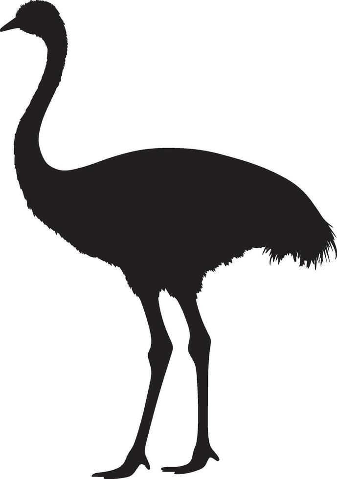 Ostrich advancing body in motion with one leg lifted, head slightly forward, and wings neatly tucked in a complete silhouette illustration. vector