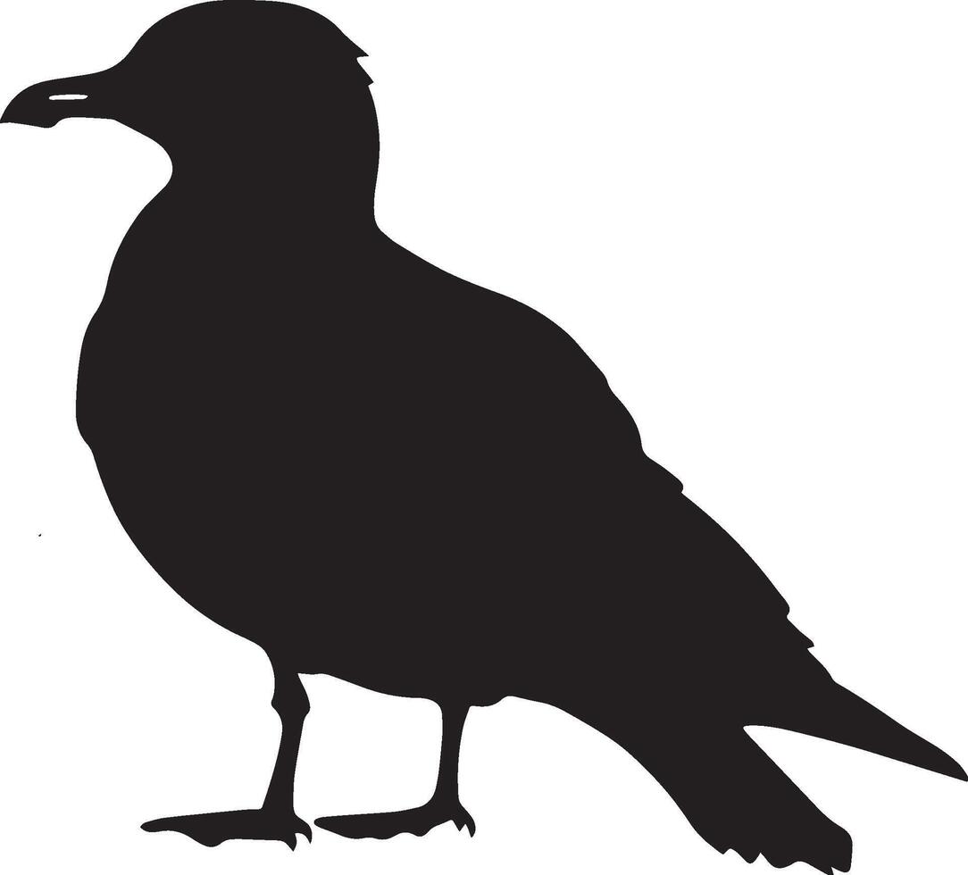 Seagull Resting Sitting on the ground or a surface with wings folded body relaxed. full length silhouette black illustration vector
