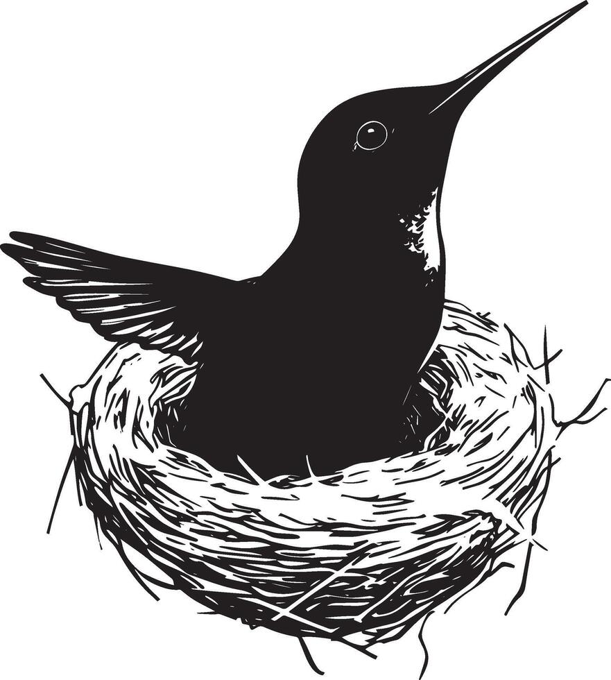 Hummingbird Resting Small bird in a round nest, body low, head raised, black . vector