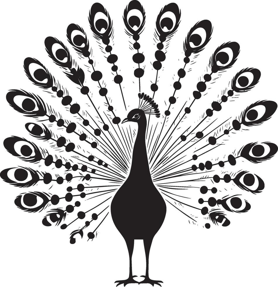 Peacock Displaying Feathers Tail fully fanned out body steady head slightly raised. full length silhouette black illustration vector
