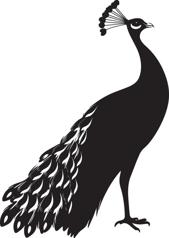 Peacock Calling Beak open head tilted back making a loud call. full length silhouette black illustration vector