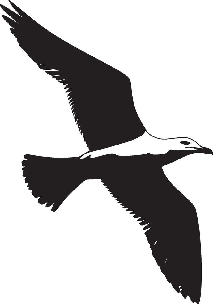 Seagull in Flight Wings wide open, body soaring, tail trailing, black silhouette . vector