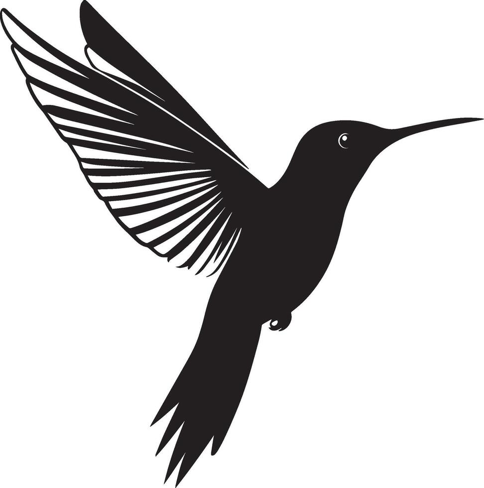 Hummingbird in Flight Body tilted forward, wings beating rapidly, tail streaming, black . vector
