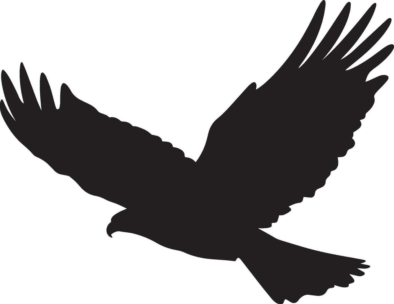 Hawk Attacking Body pointed downward, wings tucked, talons ready, black illustration. vector