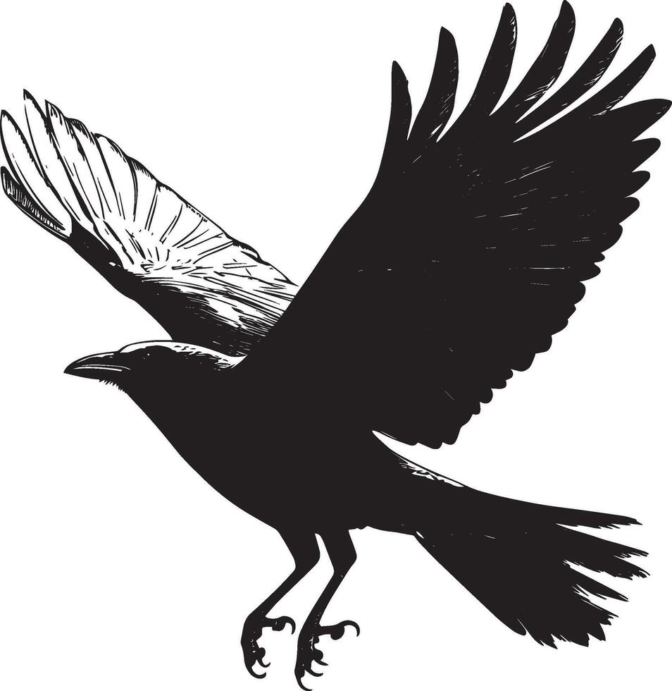 Crow Flying Low Low to the ground with wings partially spread and legs tucked. full length silhouette black illustration vector