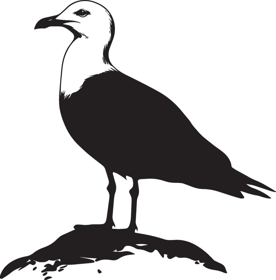 Seagull Grooming Beak tidying feathers, body still and calm, black silhouette . vector
