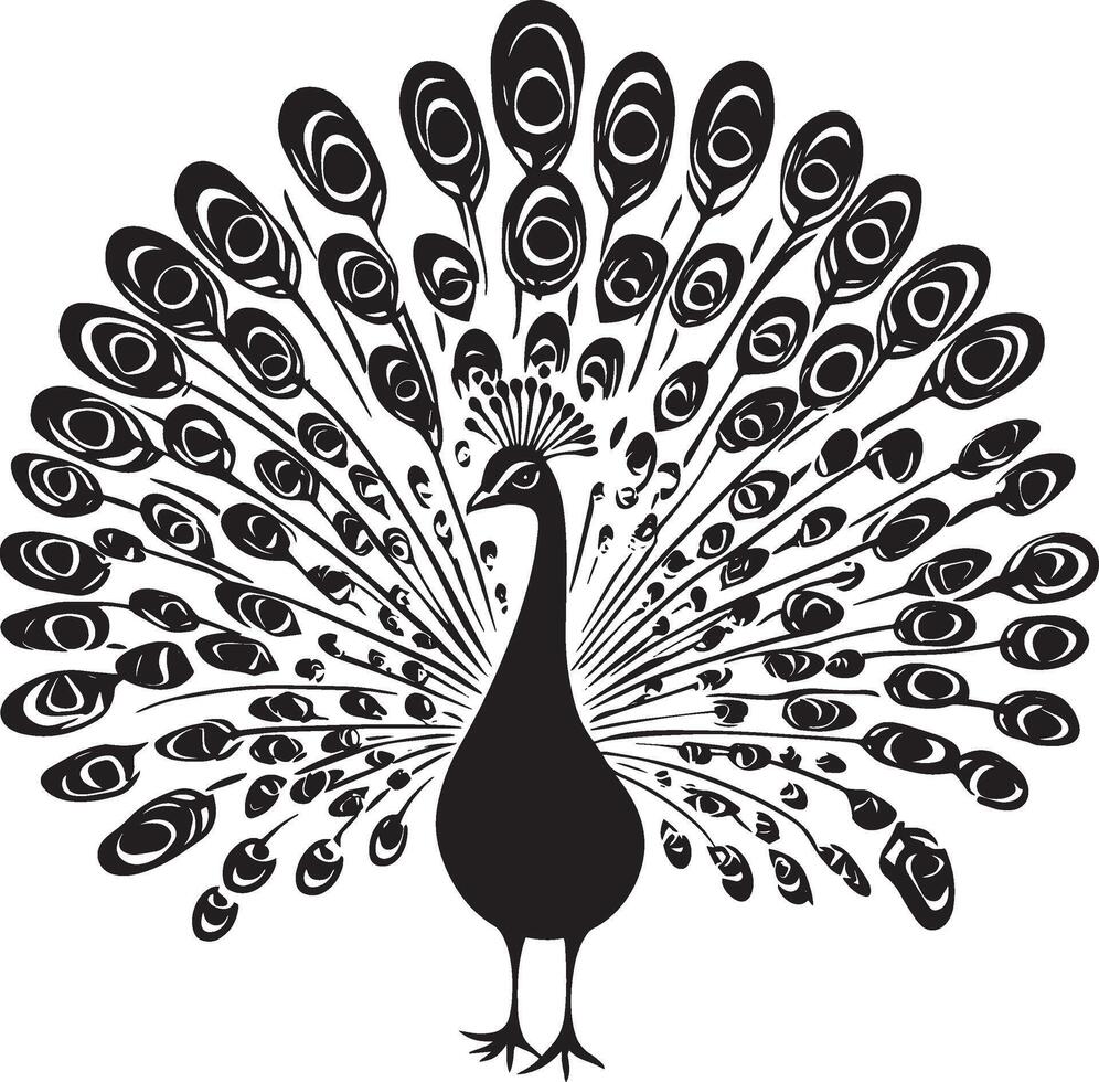 Peacock Wingbeat Wings outstretched, body rising, tail slightly lifted, black silhouette . vector