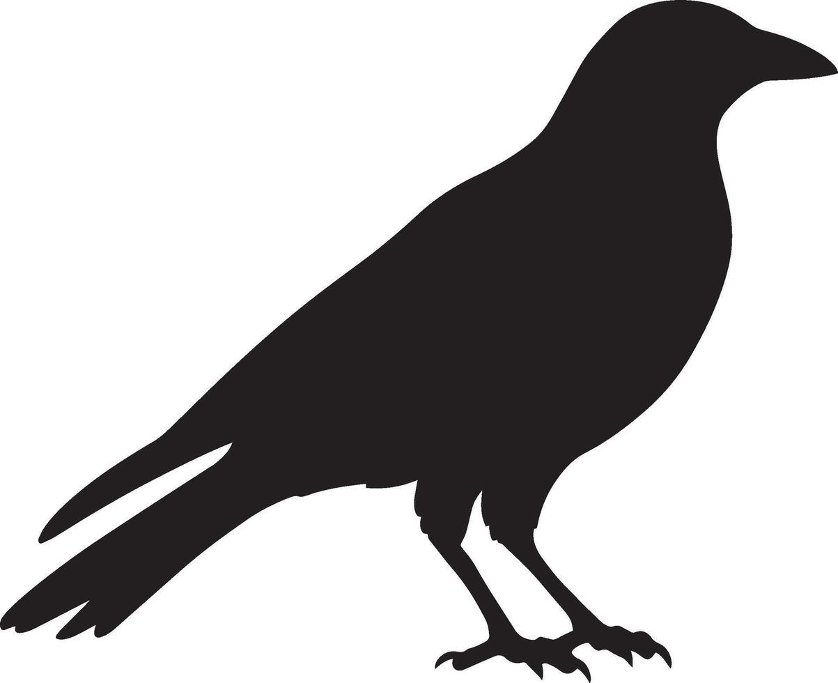 Crow Striding Slow steps, head forward, body steady, tail trailing, black silhouette . vector