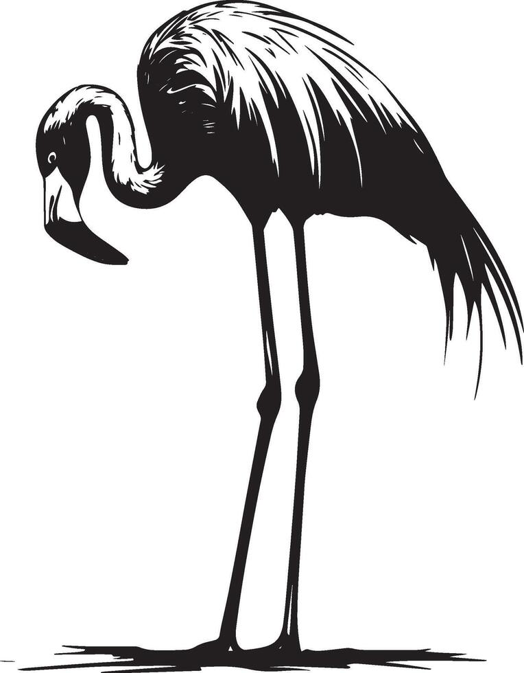 Flamingo Preening Licking or cleaning its feathers with beak body calm. full length silhouette black illustration vector