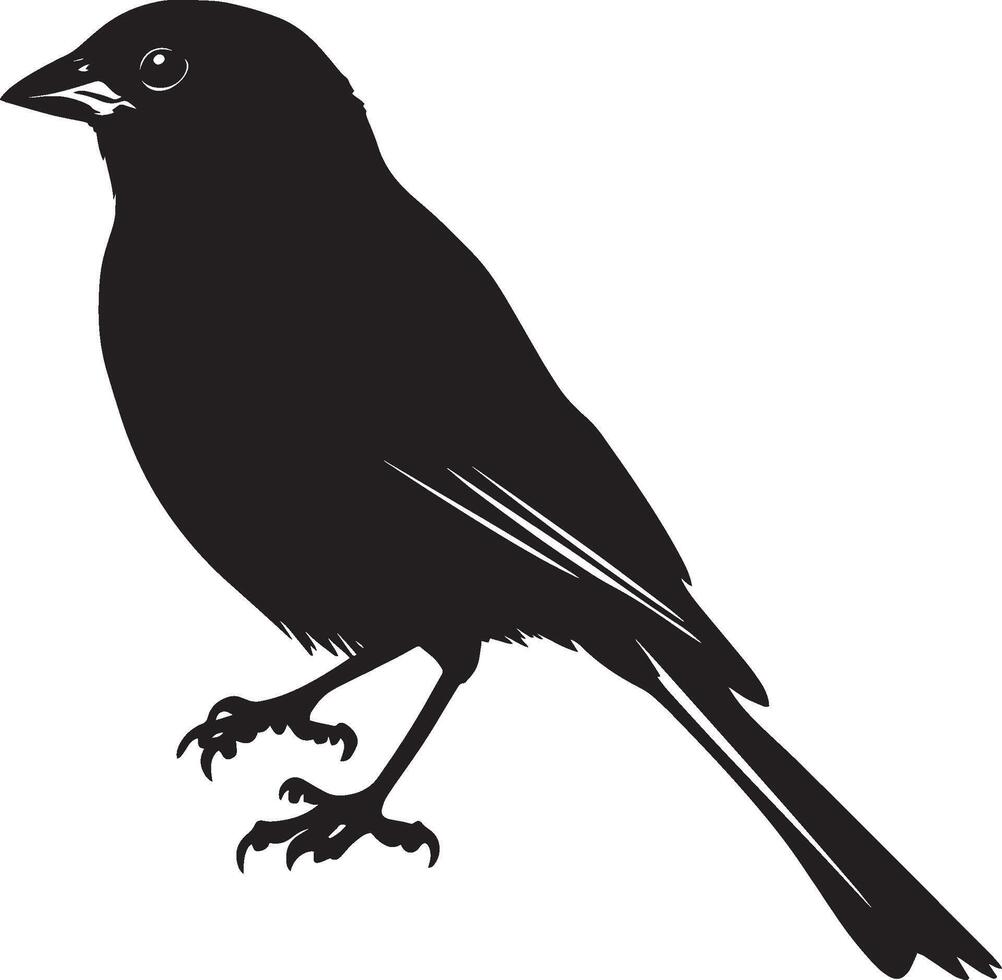 Sparrow Preening Licking or cleaning feathers with beak body calm. full length silhouette black illustration vector