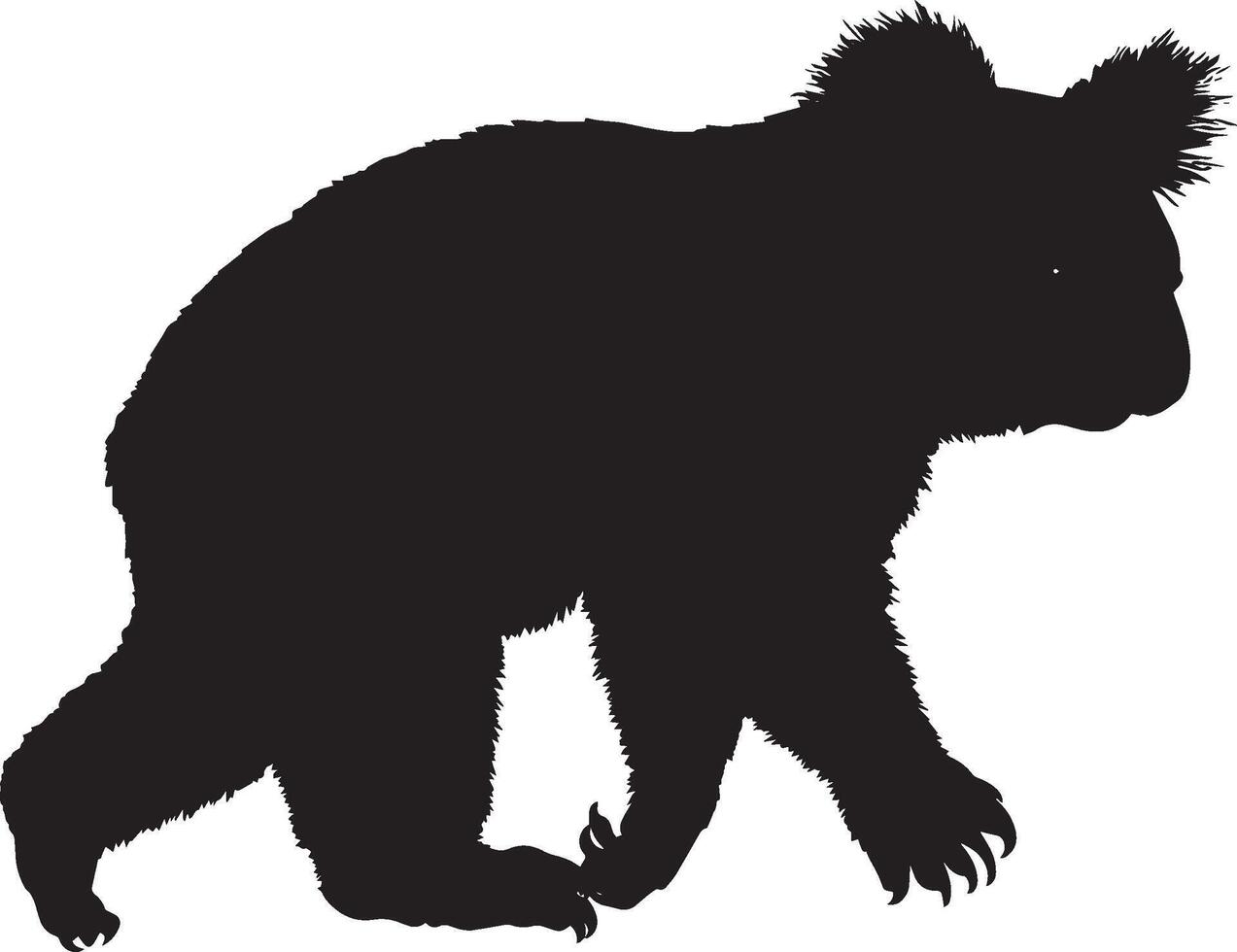 Koala Walking Slow movement on the ground, body low, paws stepping gently. full length silhouette black illustration vector