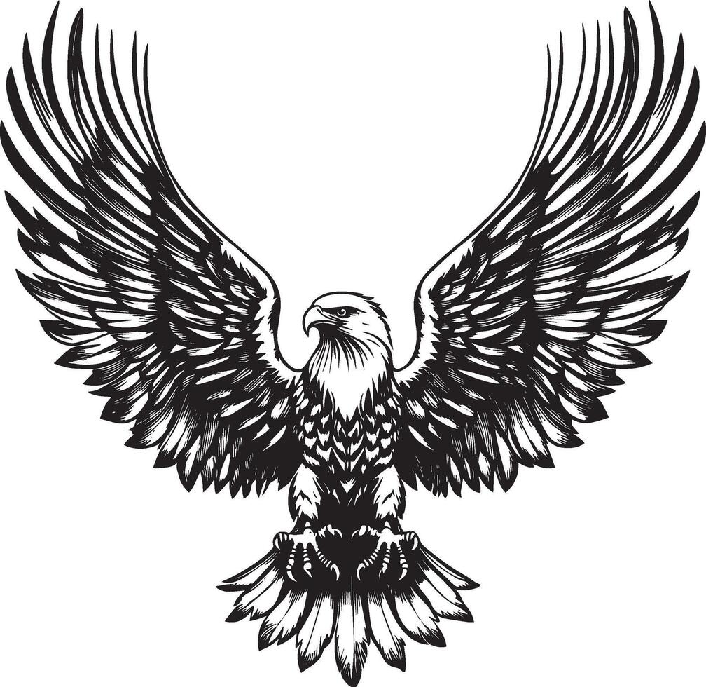 Eagle Hunting Wings partially spread body angled downward talons extended for prey. full length silhouette black illustration vector