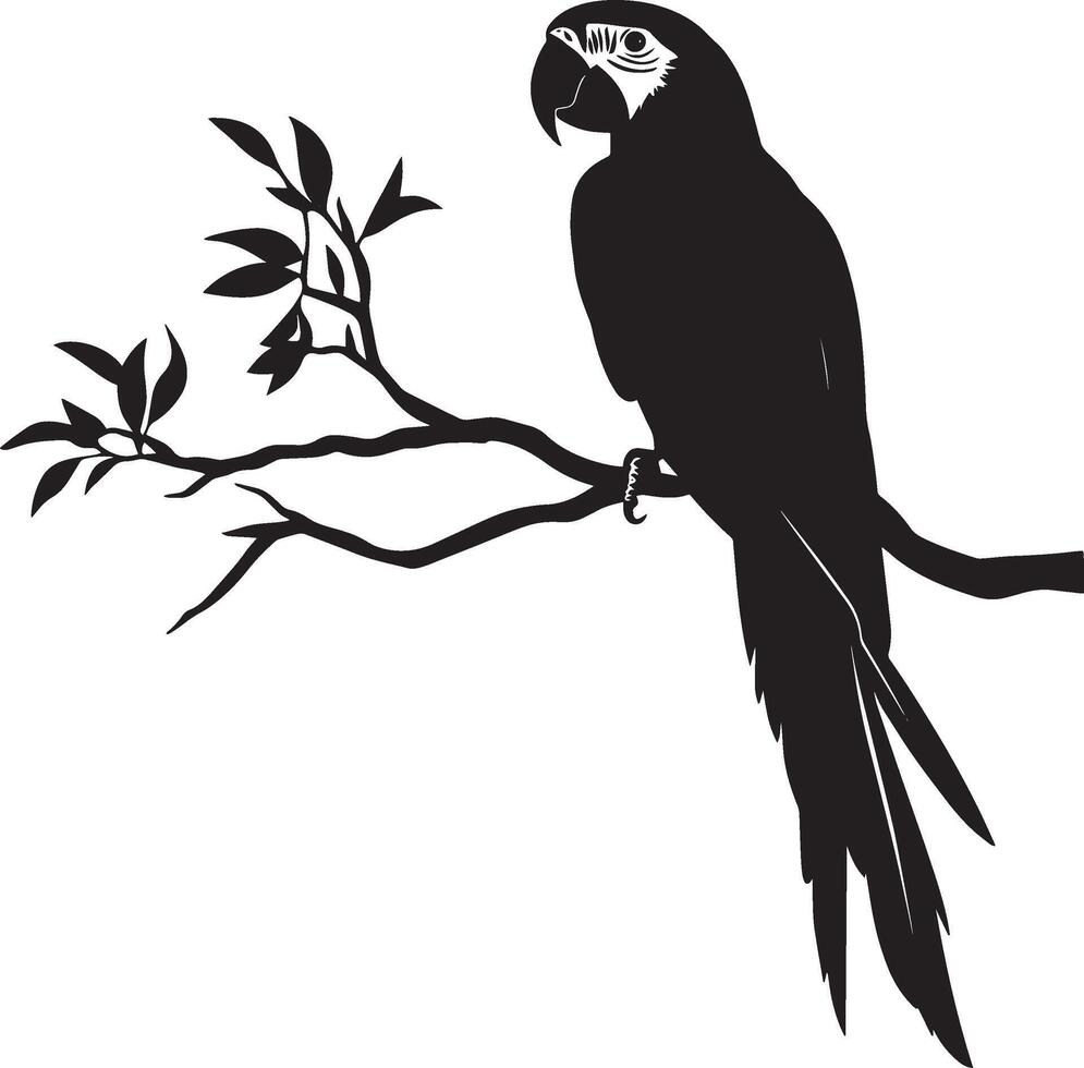 Macaw Climbing Gripping with talons climbing a tree or structure body angled. full length silhouette black illustration vector