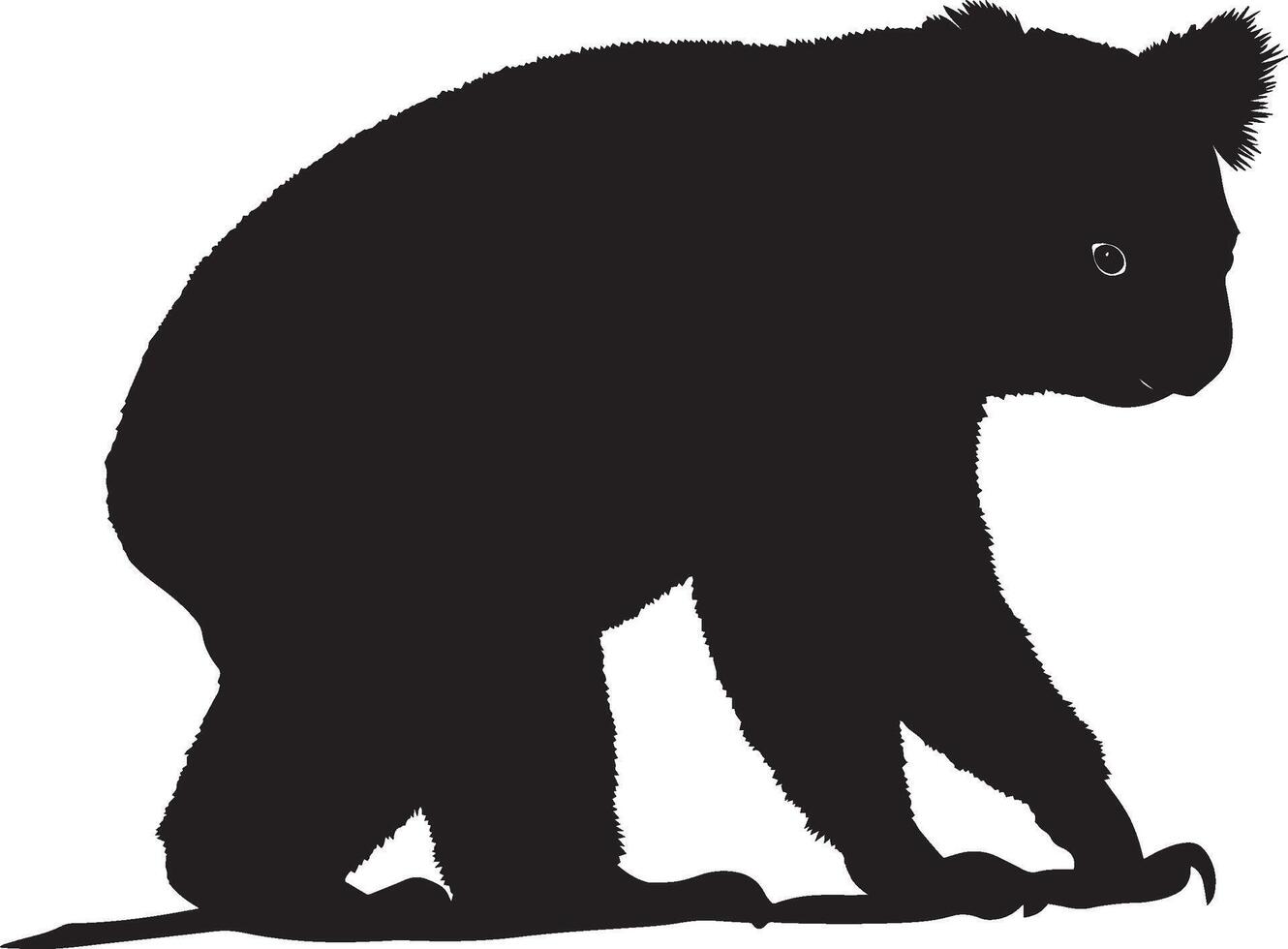 Koala Walking Slow steps on the ground, body low, paws stepping gently, black silhouette . vector