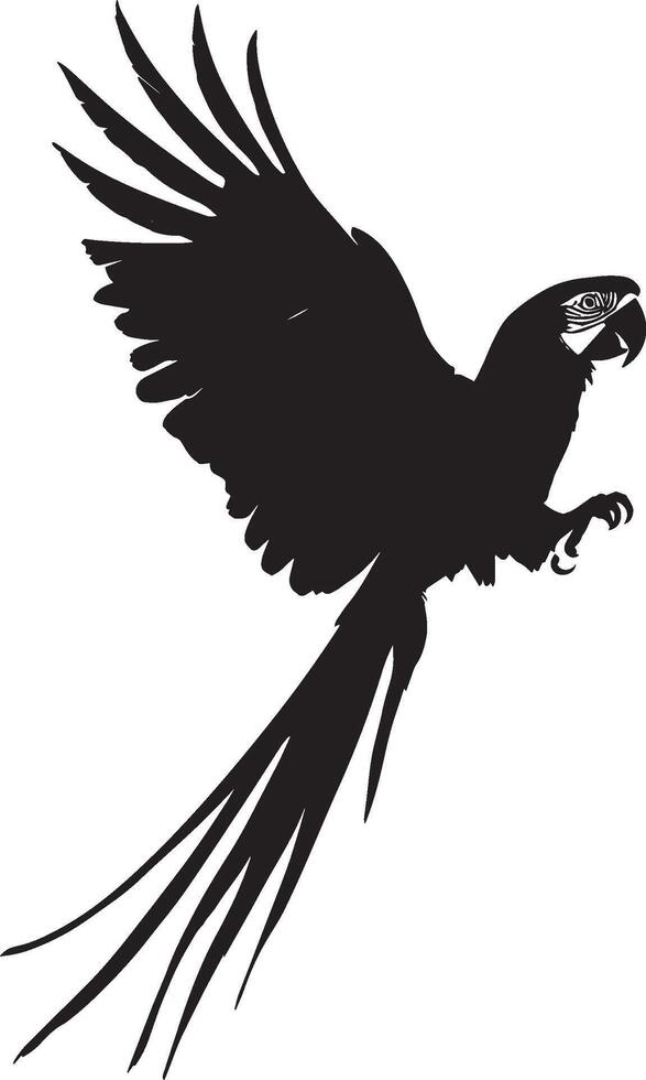 Macaw Stretching Wings spread wide, body tall, head turned, silhouette illustration. vector