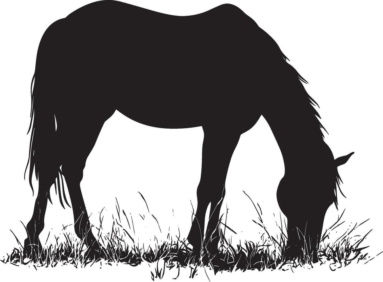 Horse Grazing Head down, front legs bent, nibbling grass, black silhouette . vector