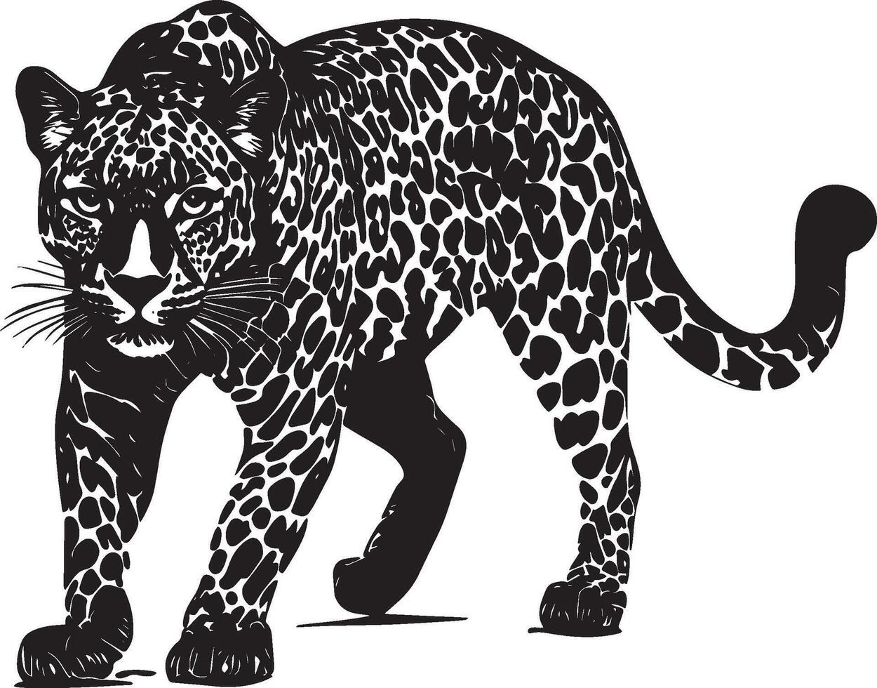 Leopard in Stealth Crouched low, body tense, eyes focused, tail motionless, silhouette . vector