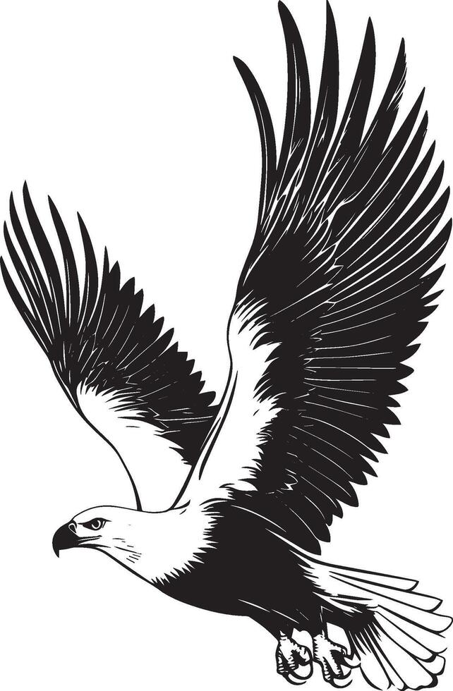 Eagle Soaring Gliding through the air with wings held wide body steady tail feathers extended. full length silhouette black illustration vector