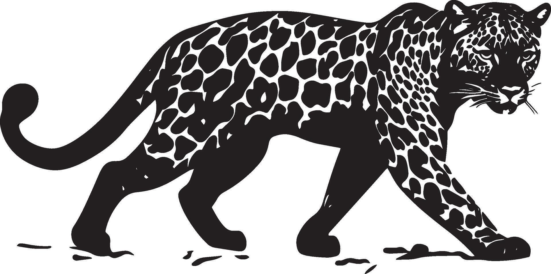 Leopard Stalking Low crouch, body tense, eyes fixed, tail still, black silhouette . vector
