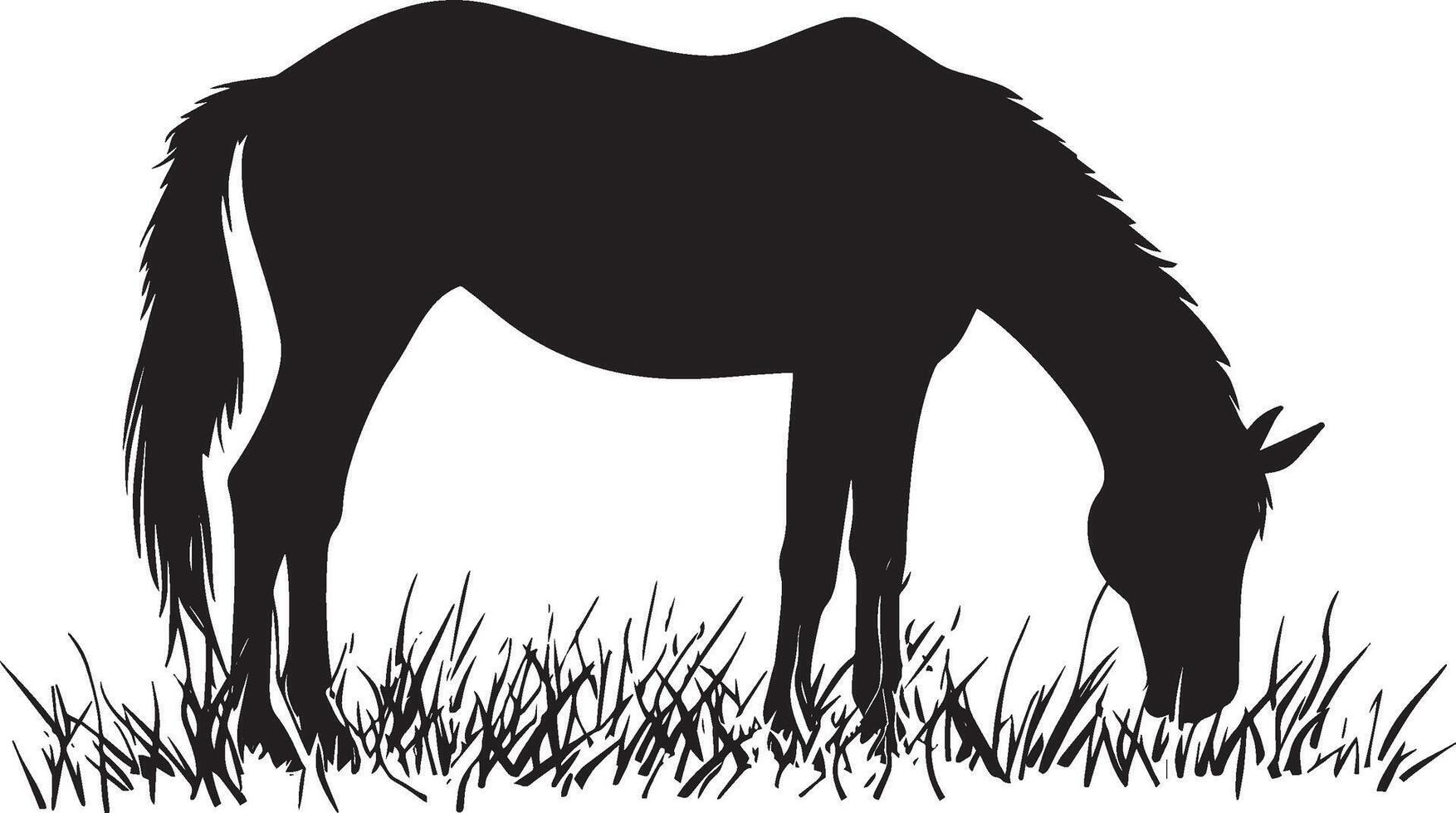 Horse Grazing Head down front legs slightly bent nibbling grass. full length silhouette black illustration vector