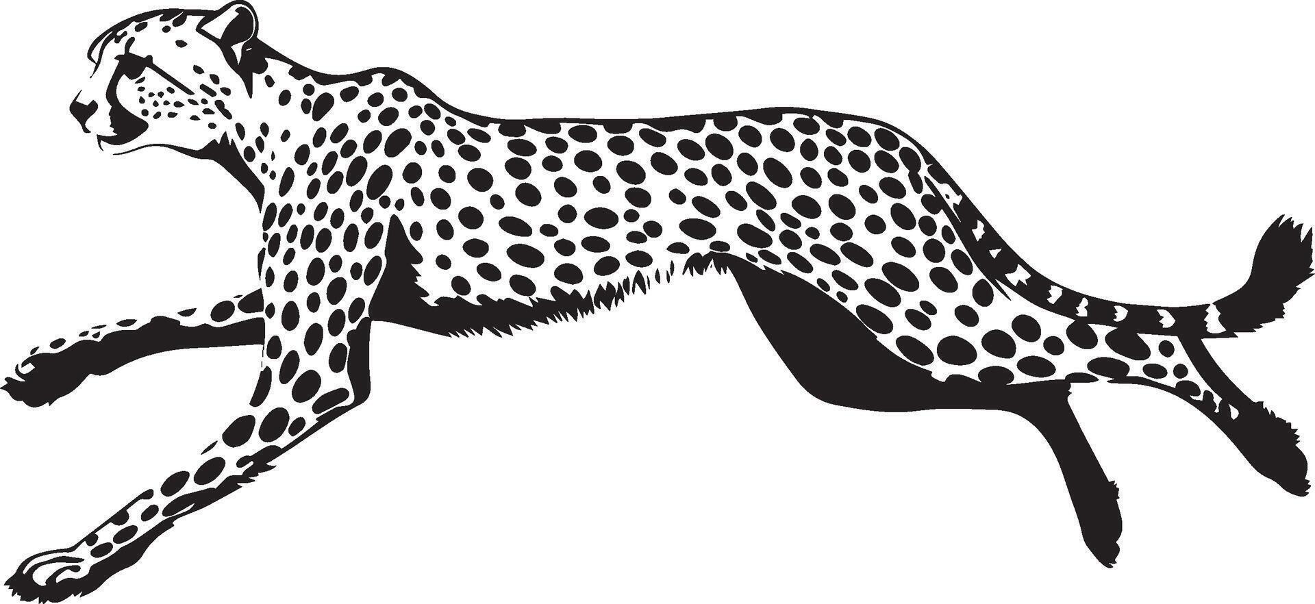 Cheetah Running Body fully stretched legs extended tail in swift motion. full length silhouette black illustration vector