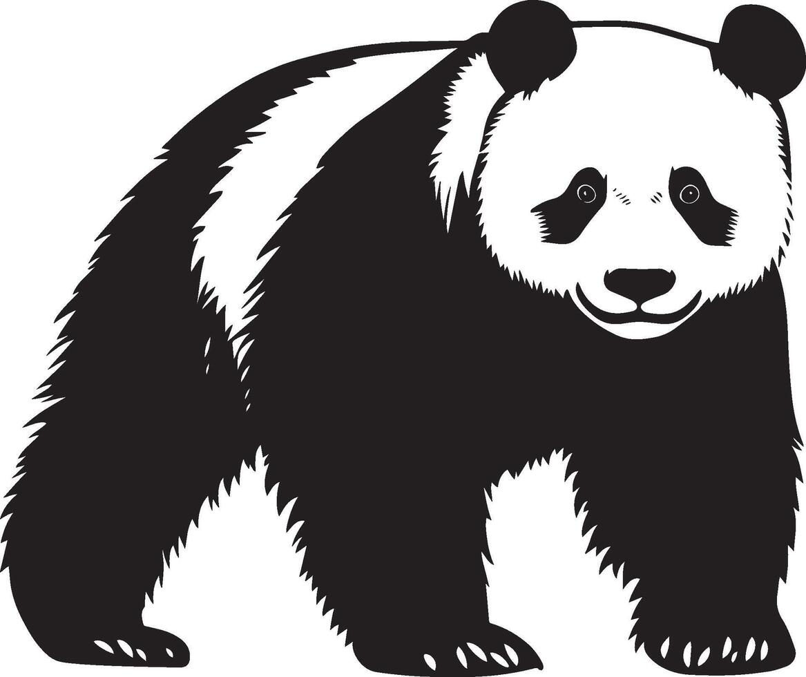 Panda Walking slow steps, body slightly hunched, tail trailing behind, black silhouette . vector