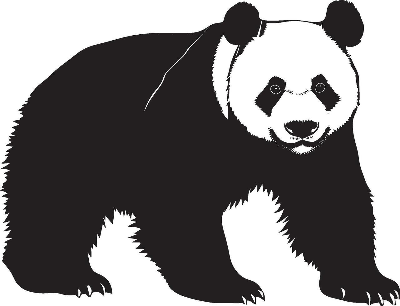 Panda Sniffing Nose forward, body slightly crouched, alert posture. full length silhouette black illustration vector