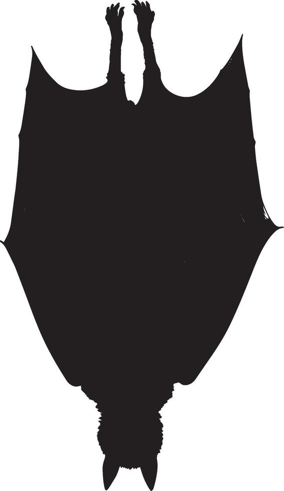 Bat Hanging Upside down, wings folded around its body, feet gripping tightly. full length silhouette black illustration vector