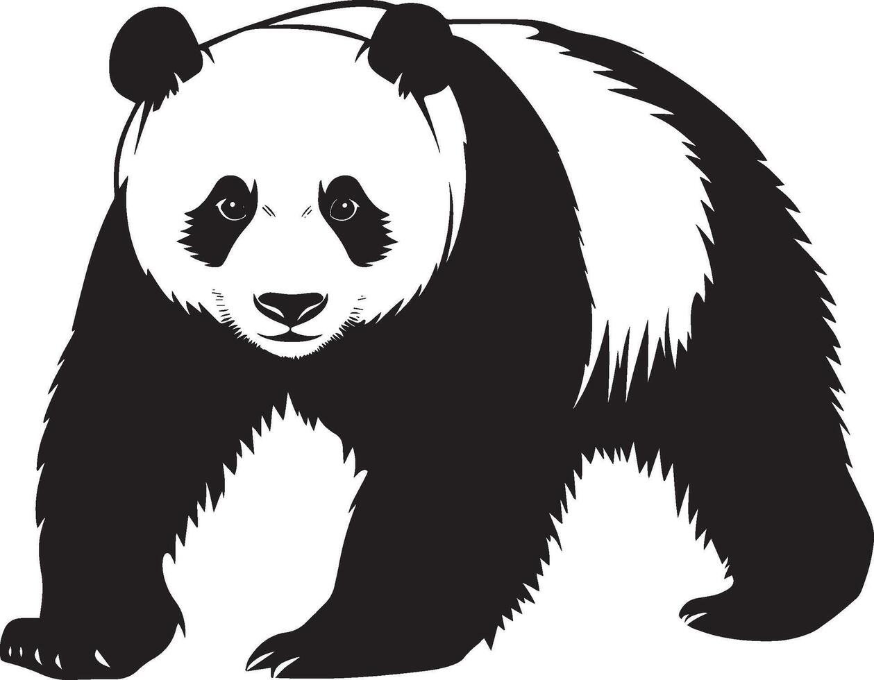 Panda Exploring Nose forward, body slightly bent, attentive posture, full silhouette design. vector