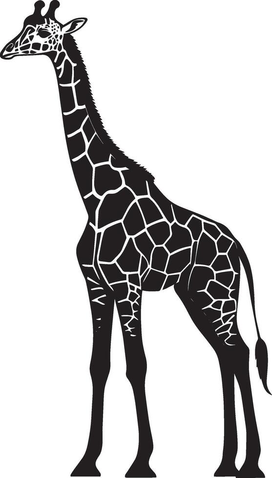Giraffe Standing Tall and upright, neck fully extended, legs straight. full length silhouette black illustration vector