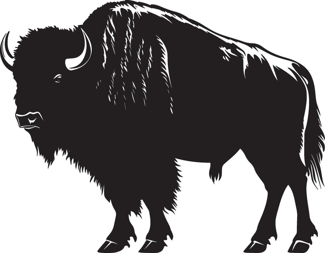 Bison Standing Strong stance with head raised, body steady, tail relaxed. full length silhouette black illustration vector