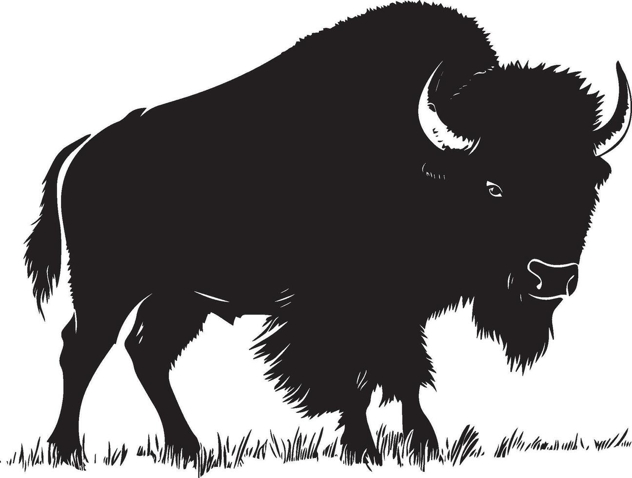 Bison Shaking Body tense, head moving side to side, shaking off dust or water. full length silhouette black illustration vector