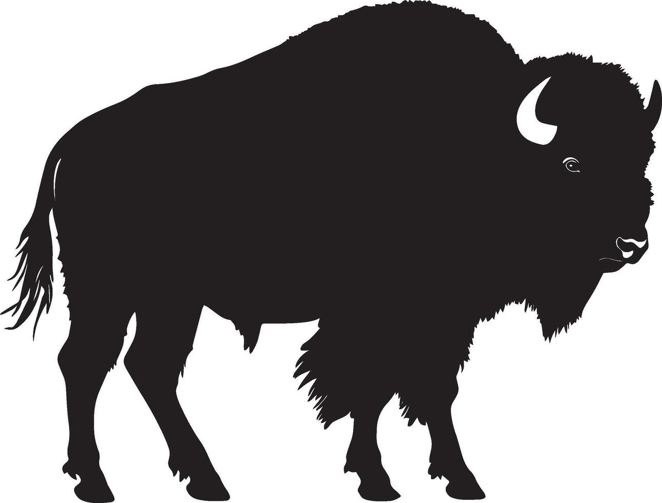 Bison Charging Head down, body leaning forward, tail raised high, black silhouette . vector