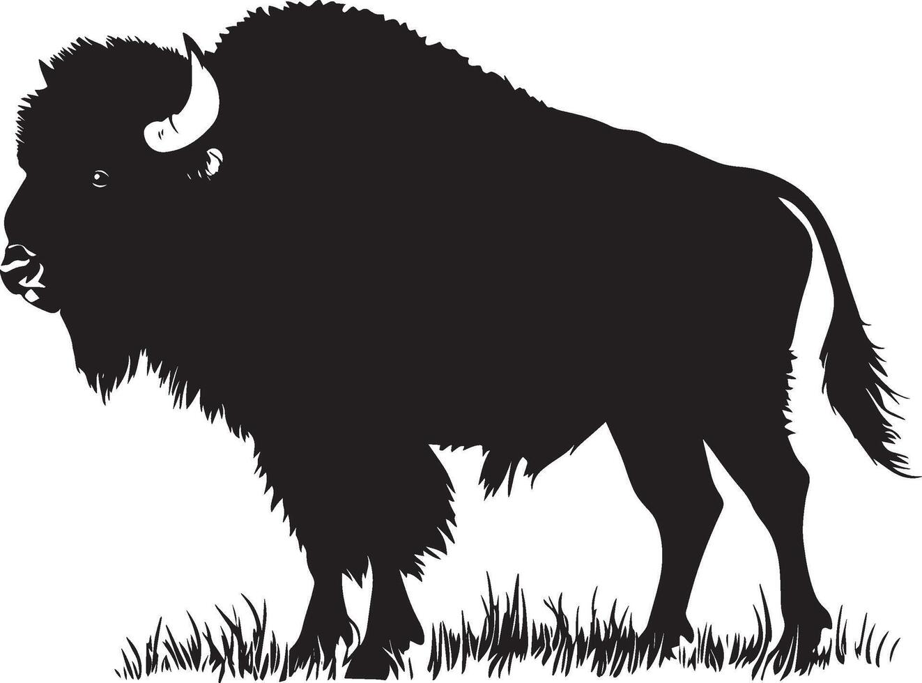 Bison at Rest Body upright, head held high, tail relaxed, silhouette illustration. vector