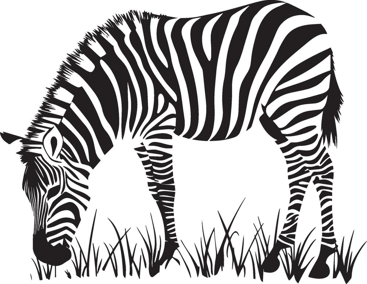 Zebra Grazing Head bent down, front legs slightly spread, nibbling on grass. full length silhouette black illustration vector