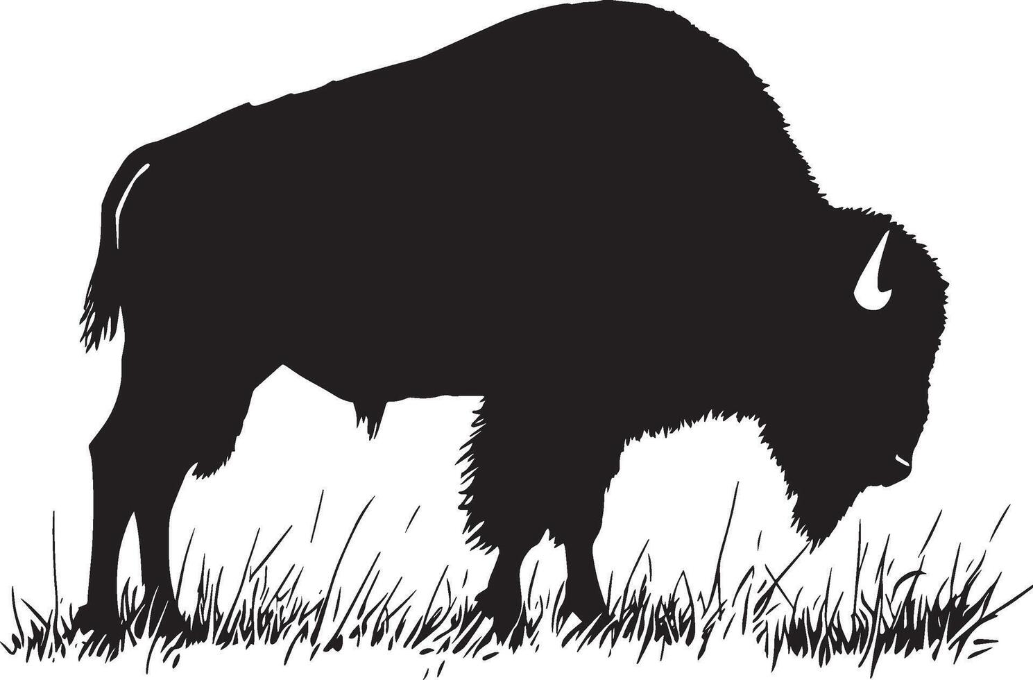Bison Grazing Head down, body slightly bent, grazing on grass or plants. full length silhouette black illustration vector