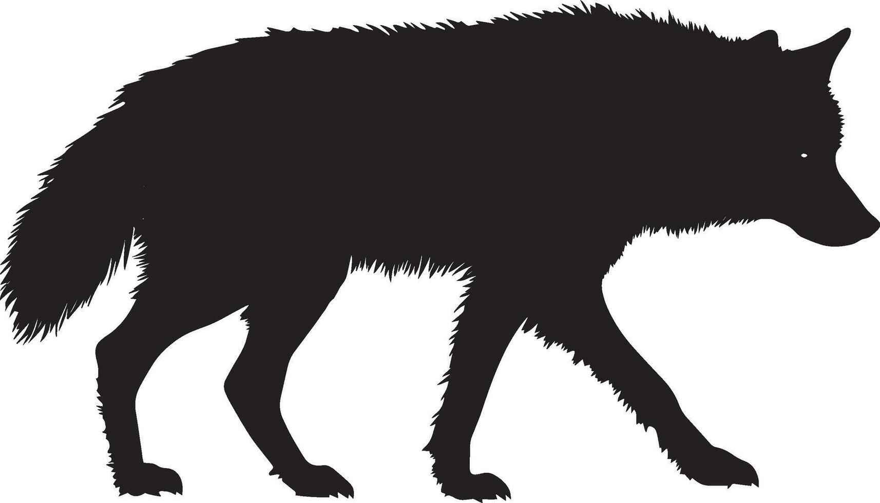 Wolf Stalking Low to the ground, body tense, tail stiff and still. full length silhouette black illustration vector