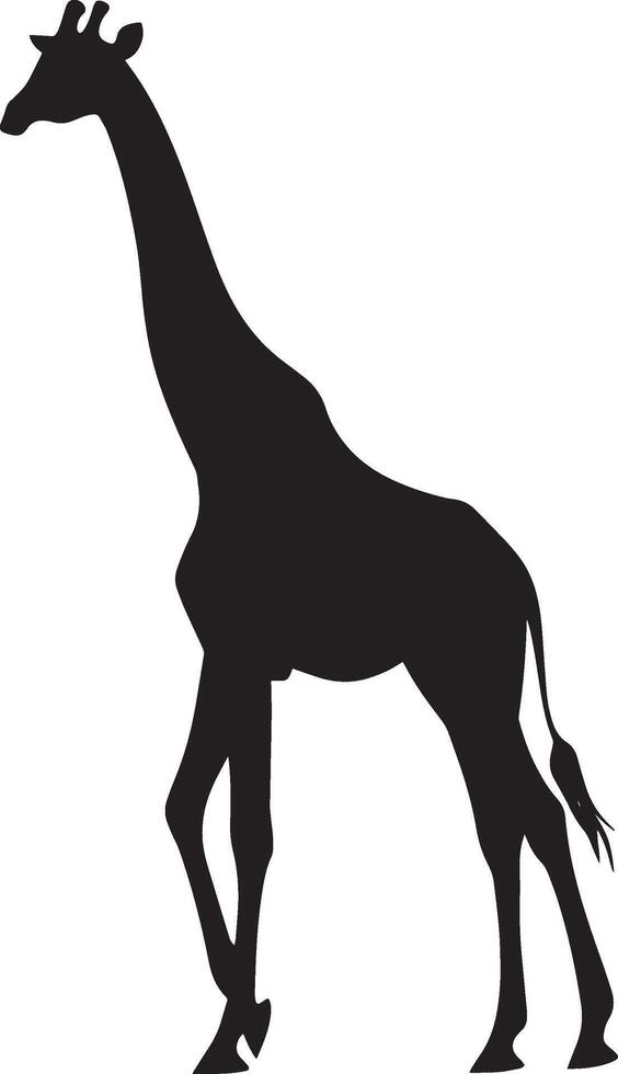 Giraffe Walking Long legs in mid-stride, neck stretched forward, head slightly elevated. full length silhouette black illustration vector
